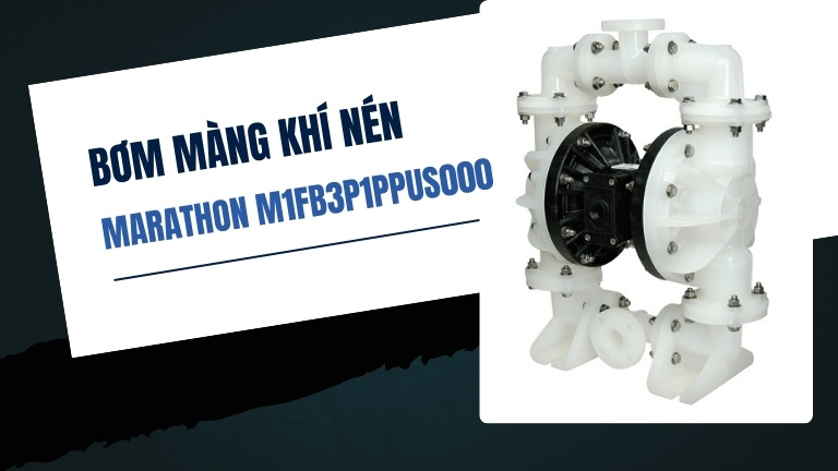 Marathon M1FB3P1PPUS000