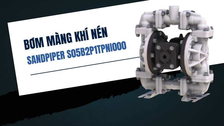 Sandpiper S05B2P1TPNI000