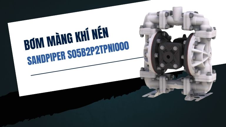 Sandpiper S05B2P2TPNI000