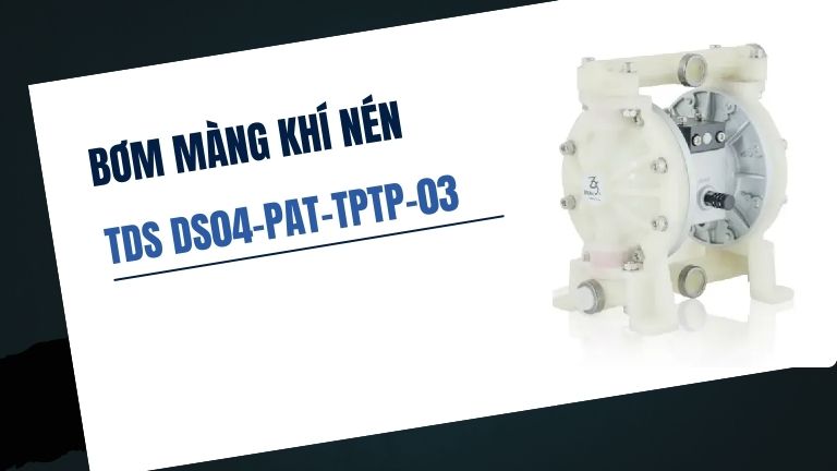 TDS DS04-PAT-TPTP-03