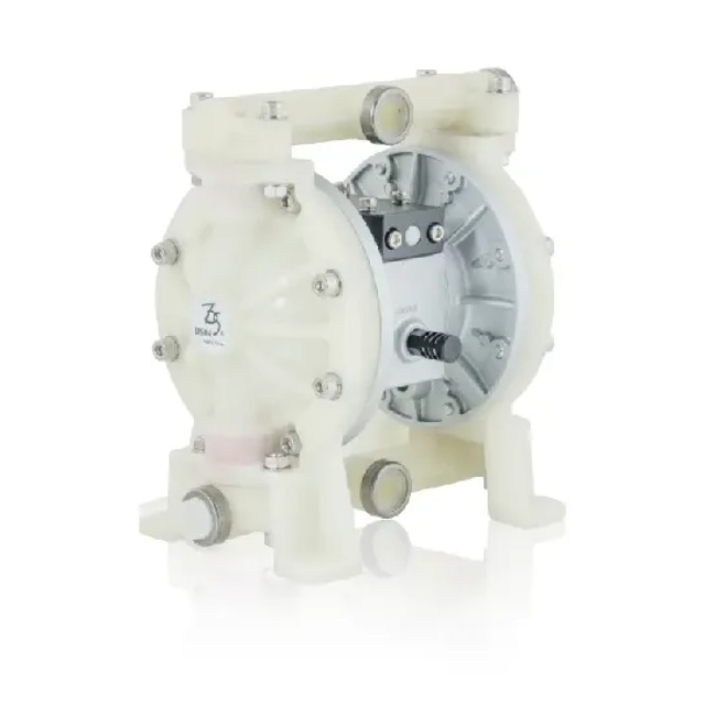 Bơm màng TDS DS04-PAT-TPTP-03