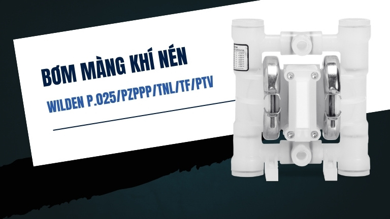Wilden P.025/PZPPP/TNL/TF/PTV