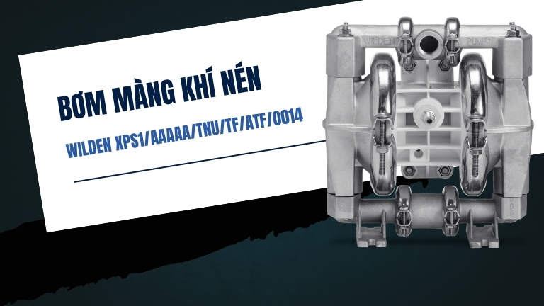 Wilden XPS1/AAAAA/TNU/TF/ATF/0014