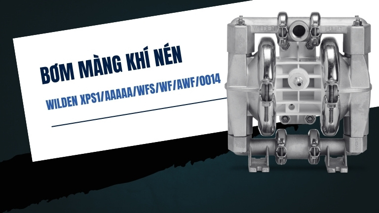 Wilden XPS1/AAAAA/WFS/WF/AWF/0014